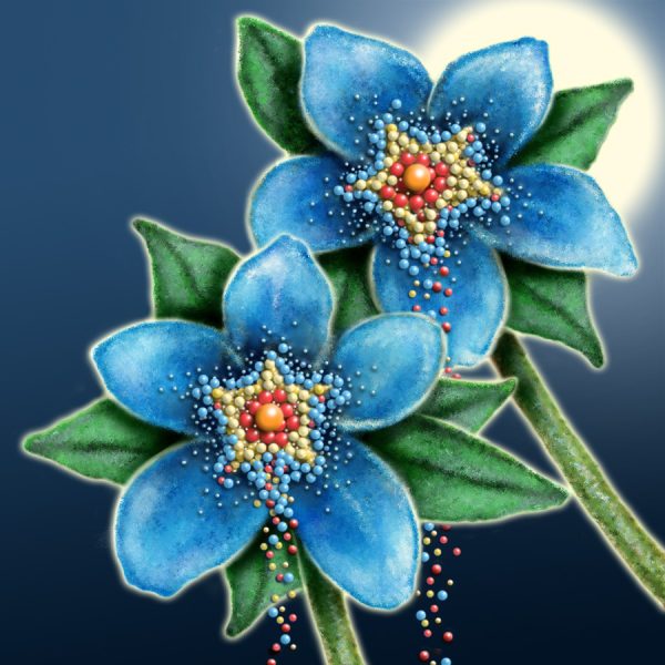 Moon Flower Art Series - Flower 58