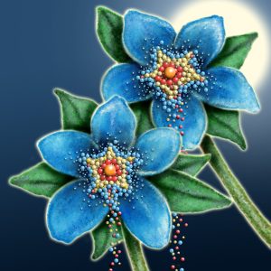 Moon Flower Art Series - Flower 58