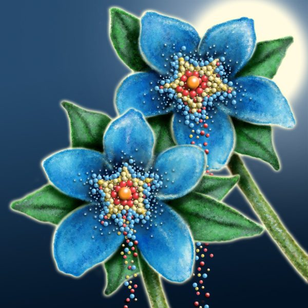 Moon Flower Art Series - Flower 58