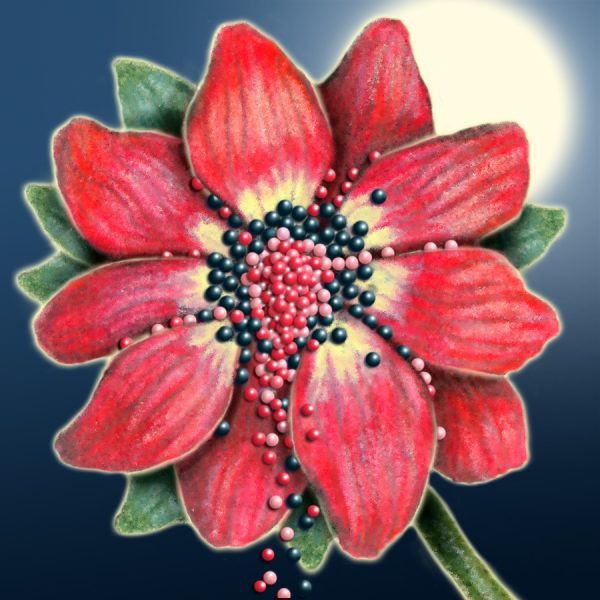 Moon Flower Art Series - Flower 59