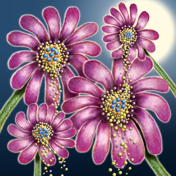 Moon Flower Art Series - Flower 60