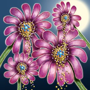 Moon Flower Art Series - Flower 60