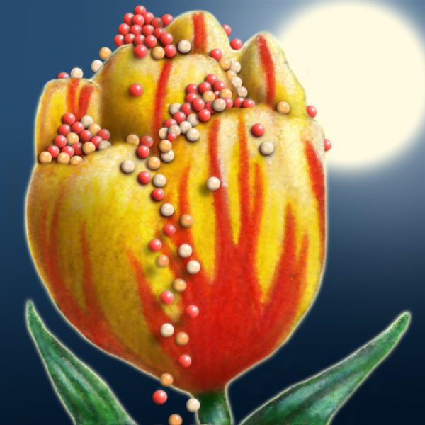 Moon Flower Art Series - Flower 61