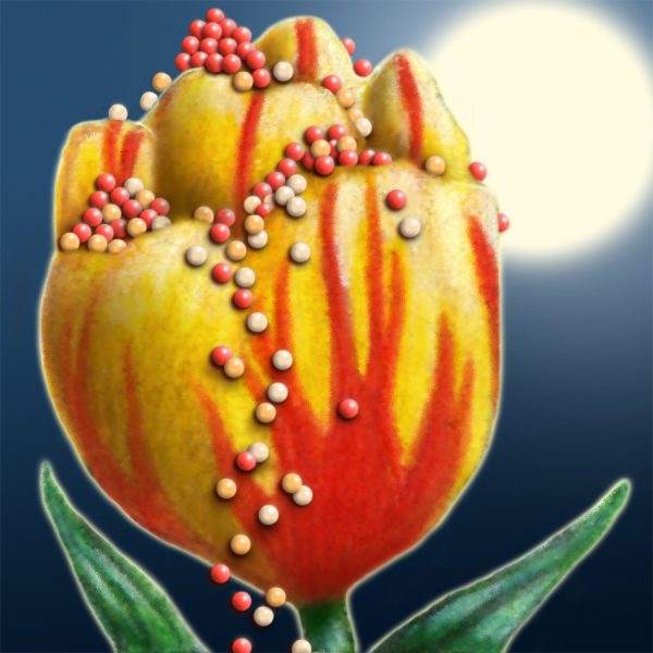 Moon Flower Art Series - Flower 61