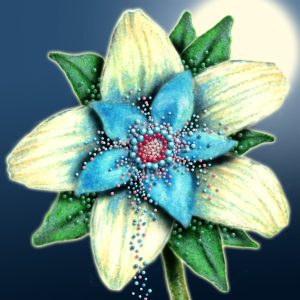 Moon Flower Art Series - Flower 62