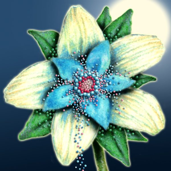 Moon Flower Art Series - Flower 62