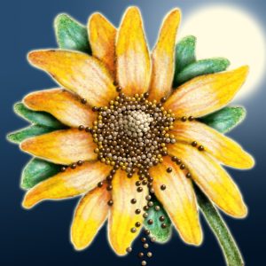 Moon Flower Art Series - Flower 9