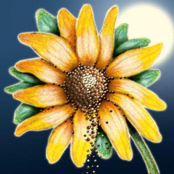 Moon Flower Art Series - Flower 9