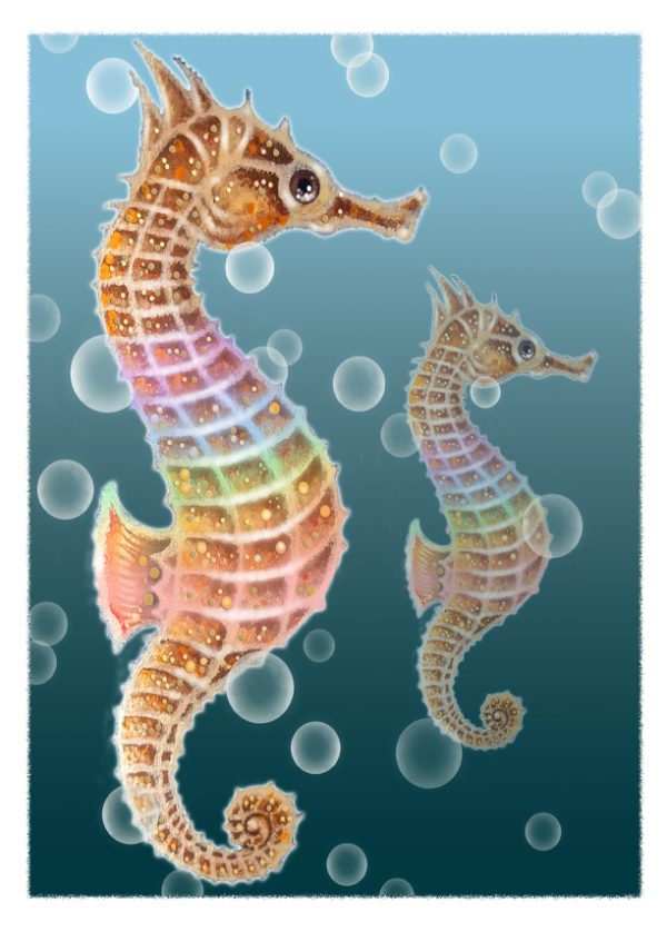 Sea Biscuit - Sea Horse - Art and Gifts