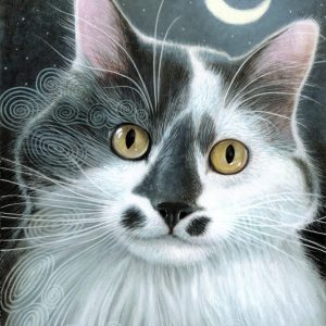 Mama's Boy - Prints and Gifts