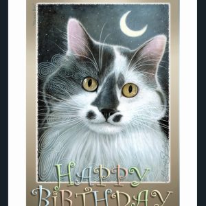 Greeting Card - Mama's Boy Happy Birthday - Art and Gifts