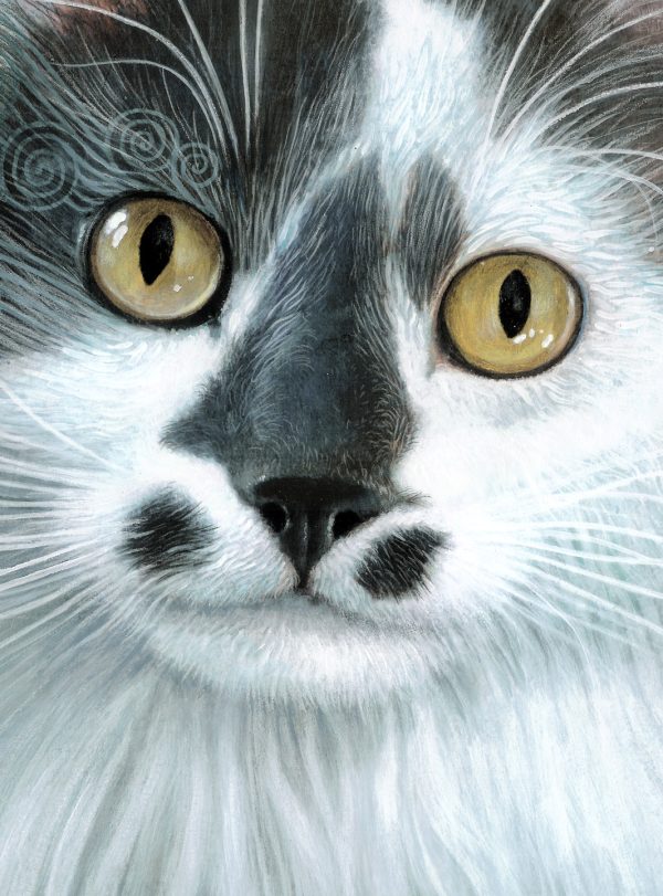 Mama's Boy - Prints and Gifts - Image 2