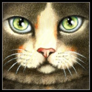 Come Closer - The Neighborhood Cat 2 - Art and Gifts