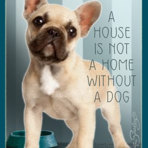 Frenchie Fun - Mini Canvases & Magnets
