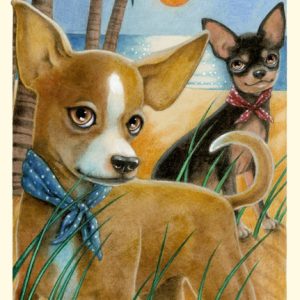 Jalapeno Honey - Chihuahuas - Mini Canvases & Magnets