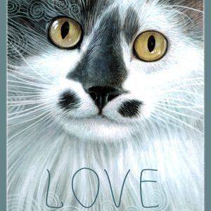 Mama's Boy - Closeup Cat - Mini Canvases & Magnets