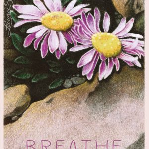 Mountain Beauties - Mini Canvases & Magnets