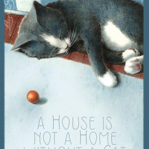 Power Nap - Mini Canvases & Magnets