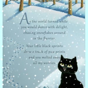 Snow Angel - Mini Canvases & Magnets
