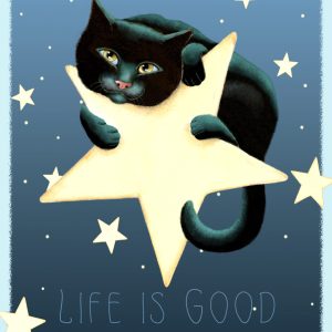 Star Catcher - Mini Canvases & Magnets