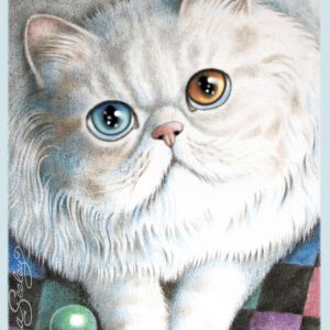 Sugar Coated - Odd - Mini Canvases & Magnets