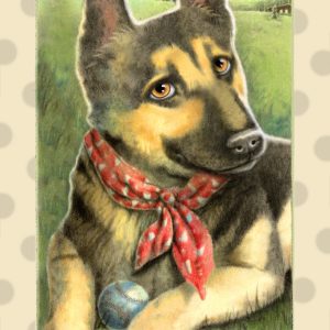 Spring Training - Mini Canvases & Magnets